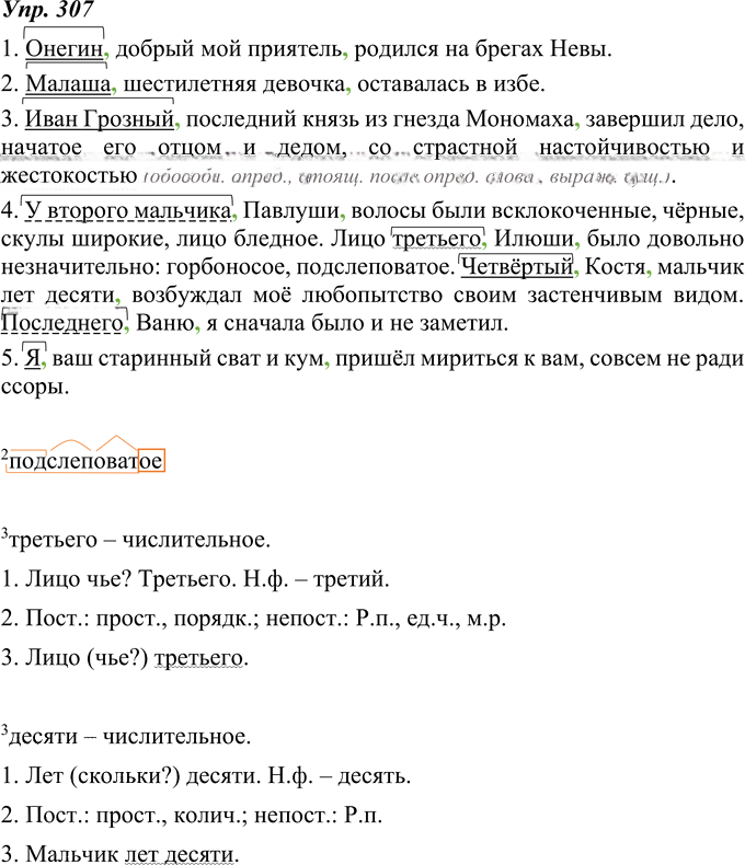 Иллюстрация к решению «ГДЗ по Русскому языку 8 Класс Номер 307 Ладыженская, Тростенцова - Подробные Ответы», 1