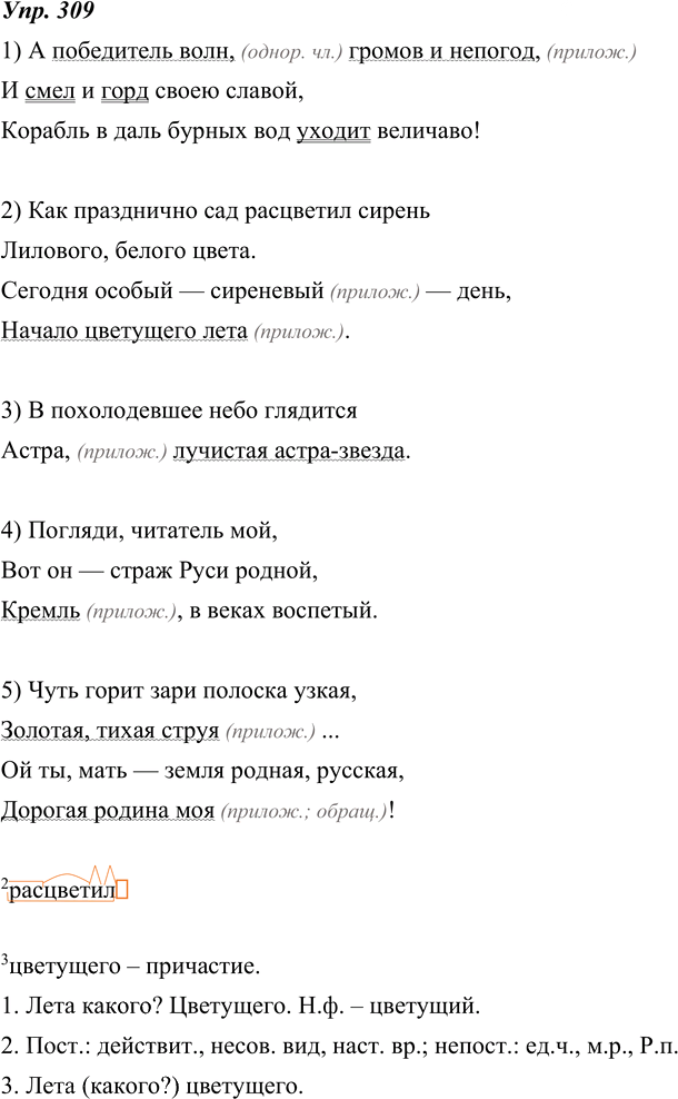 Иллюстрация к решению «ГДЗ по Русскому языку 8 Класс Номер 309 Ладыженская, Тростенцова - Подробные Ответы», 1